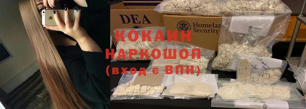 кокс Касимов