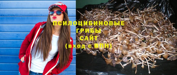спиды Карталы