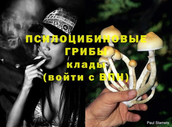 кокс Касимов