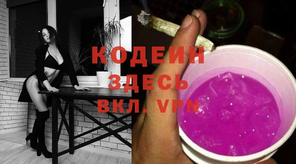 дурь Карпинск