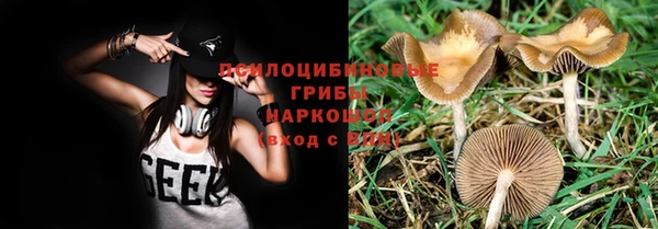 дурь Карпинск