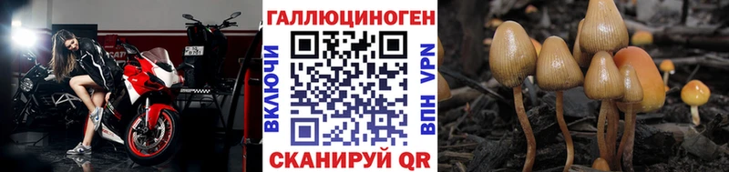 Псилоцибиновые грибы прущие грибы  Купить  Унеча 
